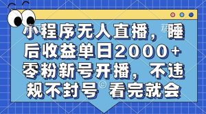 (13251期)小程序無人直播,睡后收益單日2000+ 零粉新號開播,不違規不封號 看完就會 - 嚴選資源大全 - 嚴選資源大全