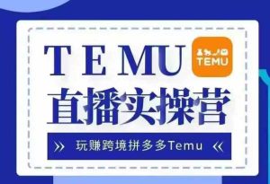 Temu直播實戰營，玩賺跨境拼多多Temu，國內電商卷就出海賺美金 - 嚴選資源大全 - 嚴選資源大全