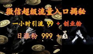 微信超級(jí)流量入口揭秘:一小時(shí)引流 99 + 創(chuàng)業(yè)粉,日漲粉 999 + - 嚴(yán)選資源大全 - 嚴(yán)選資源大全