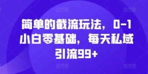 簡單的截流玩法,0-1小白零基礎,每天私域引流99+【揭秘】 - 嚴選資源大全 - 嚴選資源大全
