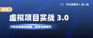 虛擬項目實戰3.0,打造自動盈利店鋪,可長期操作投入低,新手也能操作 - 嚴選資源大全 - 嚴選資源大全