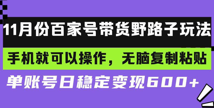 (13281期)百家號帶貨野路子玩法 手機就可以操作,無腦復制粘貼 單賬號日穩(wěn)定變現(xiàn)… - 嚴選資源大全