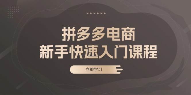 (13289期)拼多多電商新手快速入門課程:涵蓋基礎(chǔ)、實(shí)戰(zhàn)與選款,助力小白輕松上手 - 嚴(yán)選資源大全