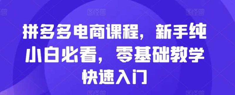拼多多電商課程，新手純小白必看，零基礎教學快速入門 - 嚴選資源大全 - 嚴選資源大全
