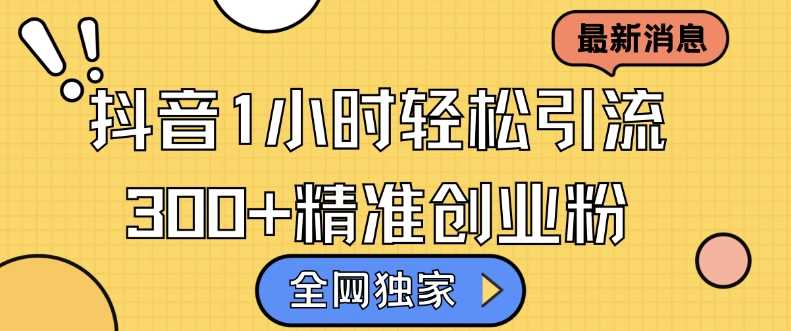 全網(wǎng)獨(dú)家抖音引流，輕松日引300+精準(zhǔn)創(chuàng)業(yè)粉【揭秘】 - 嚴(yán)選資源大全