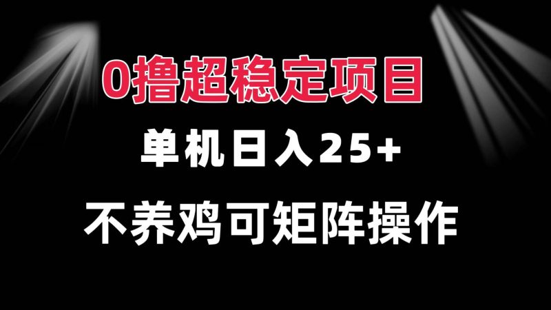 (13355期)0擼項目 單機日入25+ 可批量操作 無需養雞 長期穩定 做了就有 - 嚴選資源大全 - 嚴選資源大全