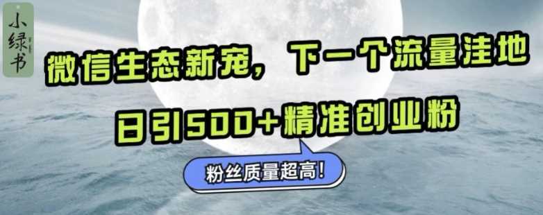 微信生態(tài)新寵小綠書:下一個(gè)流量洼地,日引500+精準(zhǔn)創(chuàng)業(yè)粉,粉絲質(zhì)量超高 - 嚴(yán)選資源大全