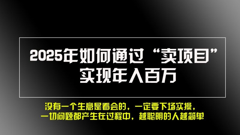 2025年如何通過“賣項目”實現年入百萬 - 嚴選資源大全 - 嚴選資源大全