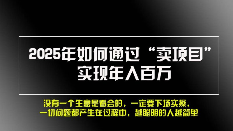 （13468期）2025年如何通過“賣項目”實現年入百萬，做網賺必看??！ - 嚴選資源大全 - 嚴選資源大全