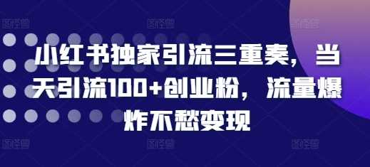 小紅書獨家引流三重奏，當天引流100+創業粉，流量爆炸不愁變現【揭秘】 - 嚴選資源大全