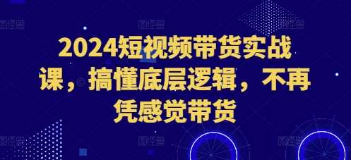 2024短視頻帶貨實(shí)戰(zhàn)課，搞懂底層邏輯，不再憑感覺(jué)帶貨 - 嚴(yán)選資源大全