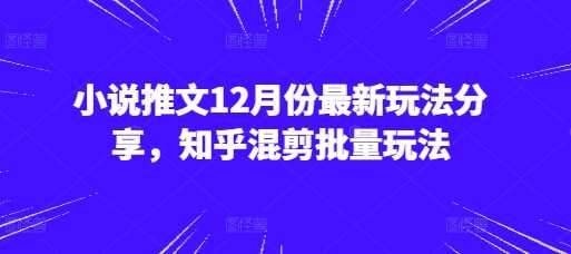 小說推文12月份最新玩法分享，知乎混剪批量玩法 - 嚴(yán)選資源大全