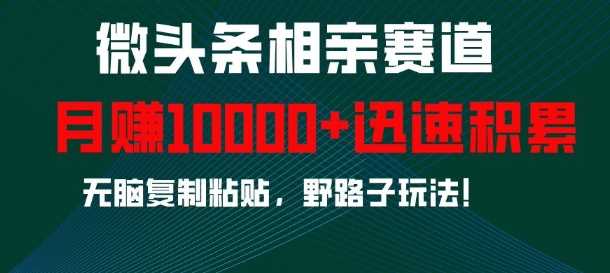 微頭條相親賽道,迅速積累,無腦復制粘貼,野路子玩法,月入1w - 嚴選資源大全