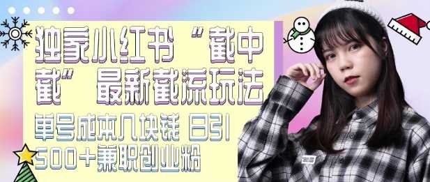 最新小紅書截流玩法 獨(dú)家截中截 單號成本幾塊錢 日引500+CY粉JZ粉 - 嚴(yán)選資源大全