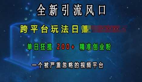 全新引流風口，跨平臺玩法日入上k，單日狂攬200+精準創業粉，一個被嚴重忽略的視頻平臺 - 嚴選資源大全