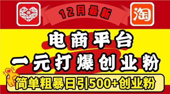 12月最新:電商平臺1元打爆創業粉,簡單粗暴日引500+精準創業粉,輕松月入過W【揭秘】 - 嚴選資源大全