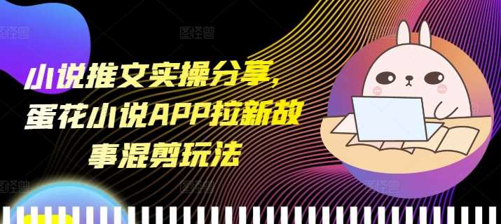 小說推文實操分享，蛋花小說APP拉新故事混剪玩法 - 嚴選資源大全