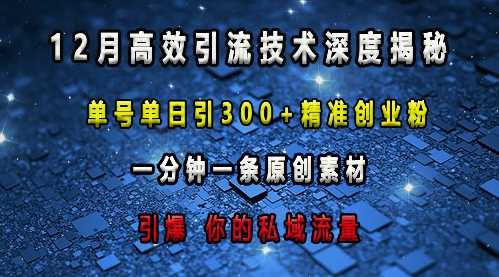 最新高效引流技術深度揭秘 ，單號單日引300+精準創業粉，一分鐘一條原創素材，引爆你的私域流量 - 嚴選資源大全