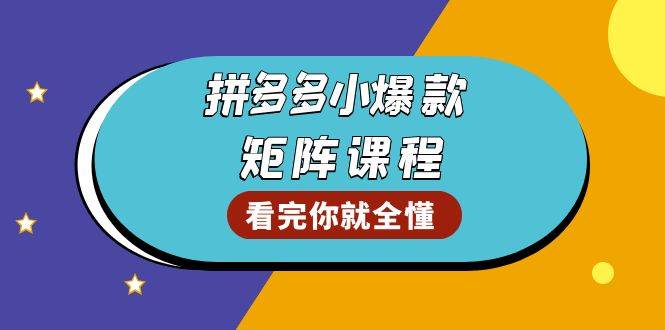 （13699期）拼多多爆款矩陣課程：教你測出店鋪爆款，優化銷量，提升GMV，打造爆款群 - 嚴選資源大全