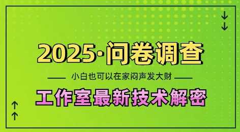 2025問卷調(diào)查最新工作室技術(shù)解密:一個(gè)人在家也可以悶聲發(fā)大財(cái),小白一天2張,可矩陣放大【揭秘】 - 嚴(yán)選資源大全