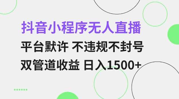 抖音小程序無人直播 平臺默許 不違規不封號 雙管道收益 日入多張 小白也能輕松操作【僅揭秘】 - 嚴選資源大全