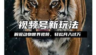 利用動物世界解說視頻,賺分成計劃收益,輕松月入過W,操作簡單【揭秘】 - 嚴選資源大全