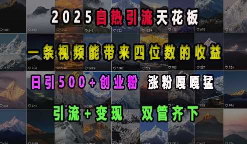 2025自熱引流天花板，一條視頻能帶來四位數的收益，引流+變現雙管齊下，日引500+創業粉，漲粉嘎嘎猛 - 嚴選資源大全