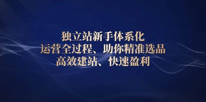 （13914期）獨立站新手體系化 運營全過程，助你精準選品、高效建站、快速盈利 - 嚴選資源大全