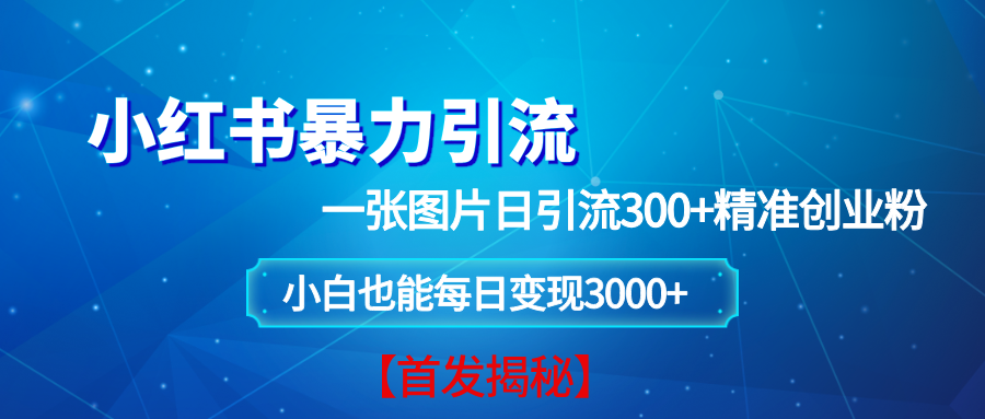 (13935期)小紅書暴力引流法,一張圖片日引 300+精準創業粉,每日穩定變現 3000+【揭秘】 - 嚴選資源大全