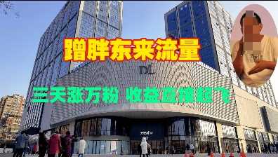 蹭胖東來流量，三天漲萬粉，收益直接起飛 - 嚴選資源大全