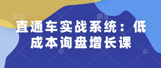 直通車實戰系統:低成本詢盤增長課,讓個人通過技能實現升職加薪,讓企業低成本獲客,訂單源源不斷 - 嚴選資源大全