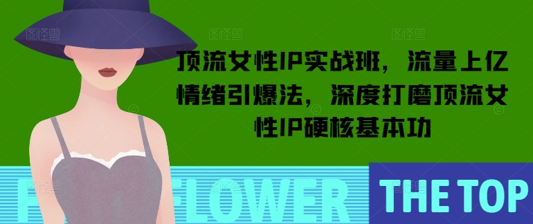 頂流女性IP實戰班，流量上億情緒引爆法，深度打磨頂流女性IP硬核基本功 - 嚴選資源大全