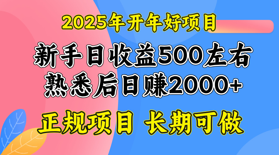 2025開年好項目，單號日收益2000左右 - 嚴(yán)選資源大全