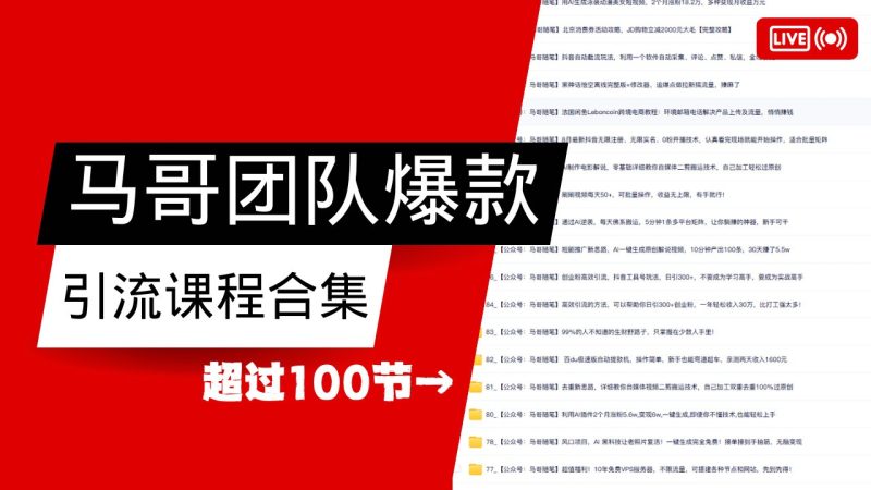 馬哥團隊【122節】最全項目爆款引流課程合集【持續更新】 - 嚴選資源大全 - 嚴選資源大全