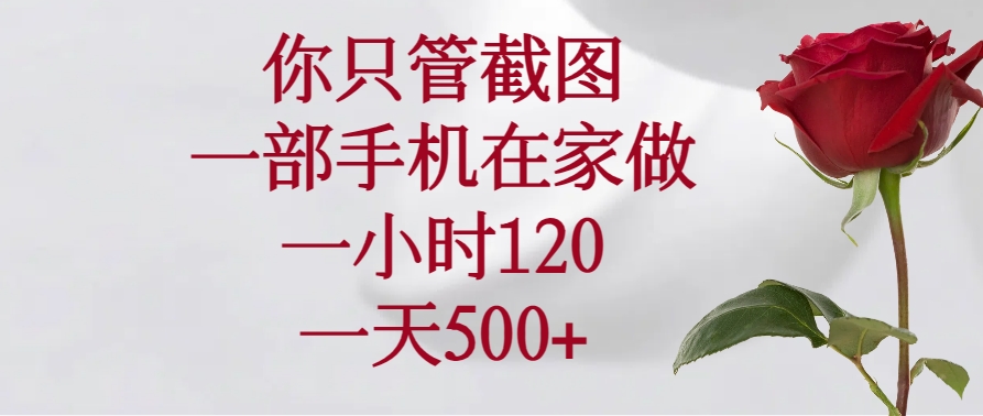 你只管截圖,一部手機(jī)在家做,一小時120,一天500+ - 嚴(yán)選資源大全