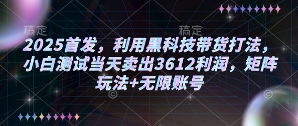 2025首發(fā)，利用黑科技帶貨打法，小白測試當(dāng)天賣出3612利潤，矩陣玩法+無限賬號【揭秘】 - 嚴選資源大全