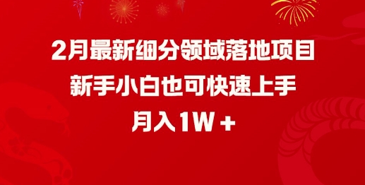 2月最新細分領域落地項目，新手小白也可快速上手，月入1W - 嚴選資源大全