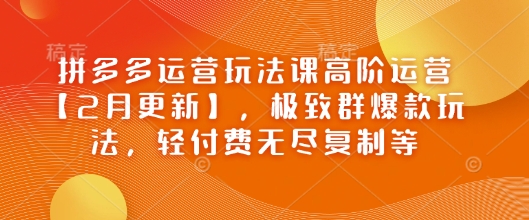 拼多多運營玩法課高階運營【2月更新】,極致群爆款玩法,輕付費無盡復制等 - 嚴選資源大全