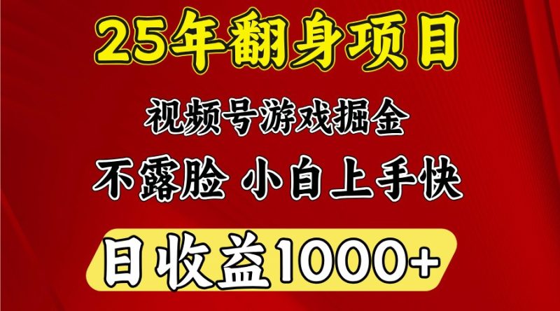 一天收益1000+ 25年開年落地好項(xiàng)目 - 嚴(yán)選資源大全 - 嚴(yán)選資源大全