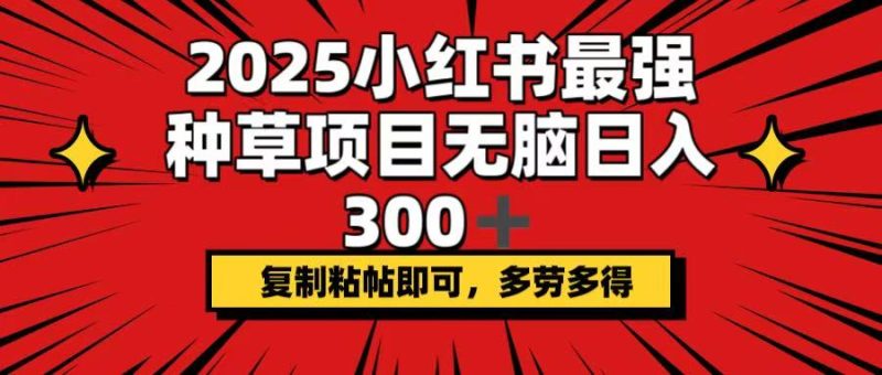 2025小紅書最強(qiáng)種草項(xiàng)目,無腦日入300+,復(fù)制粘帖即可,多勞多得 - 嚴(yán)選資源大全 - 嚴(yán)選資源大全
