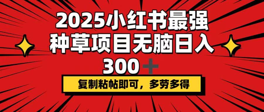 2025小紅書最強種草項目，無腦日入300+，復制粘帖即可，多勞多得 - 嚴選資源大全