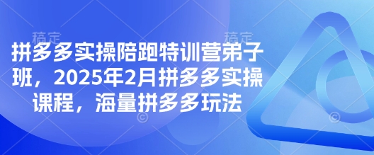 拼多多實操陪跑特訓營弟子班，2025年2月拼多多實操課程，海量拼多多玩法 - 嚴選資源大全