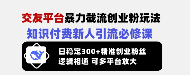 交友平臺暴力截流創業粉玩法，知識付費新人引流必修課，日穩定300+精準創業粉絲，邏輯相通可多平臺放大 - 嚴選資源大全