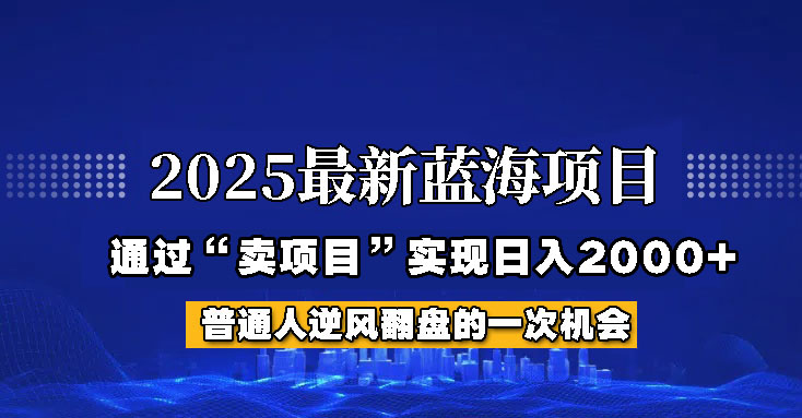 2025年藍海項目，如何通過“網創項目”日入2000+ - 嚴選資源大全