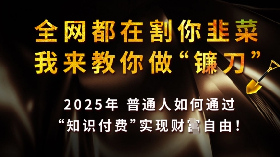 全網都在割你韭菜，我來教你做鐮刀，2025普通人如何通過知識付費，實現財F自由【揭秘】 - 嚴選資源大全