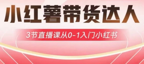小紅薯達人帶貨啟航計劃,3節直播課從0-1入門小紅書 - 嚴選資源大全