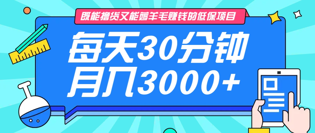 既能擼貨又能賺錢的長期低保項目，每天30分鐘，多號百分百穩定月入3000+！ - 嚴選資源大全