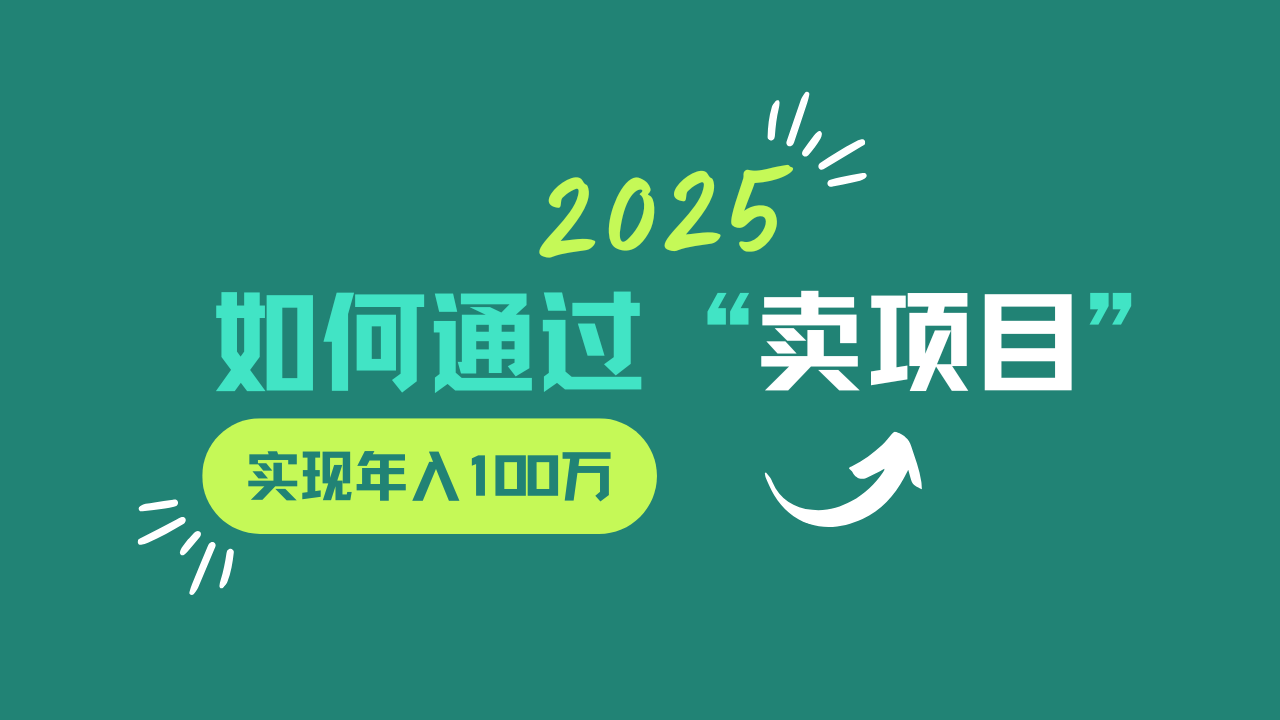 2025年如何通過“賣項目”實現年入100w - 嚴選資源大全