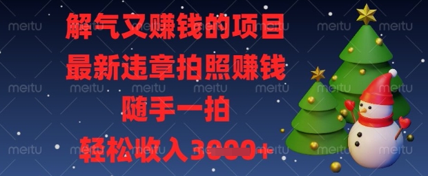 解氣又掙錢(qián)的項(xiàng)目，最新違章拍照掙錢(qián)，隨手一拍，輕松收入數(shù)張【揭秘】 - 嚴(yán)選資源大全