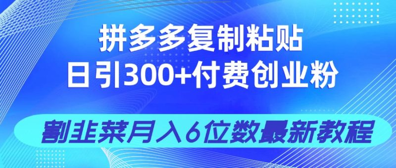 拼多多復制粘貼日引300+付費創業粉,割韭菜月入6位數最新教程! - 嚴選資源大全 - 嚴選資源大全